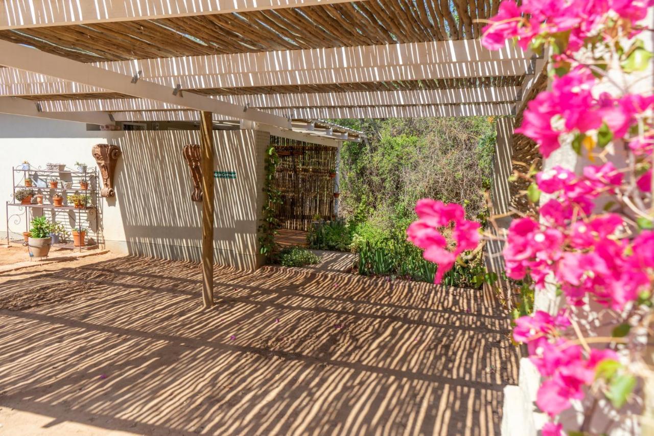 Gasteria Grange Casa de hóspedes Calitzdorp Exterior foto